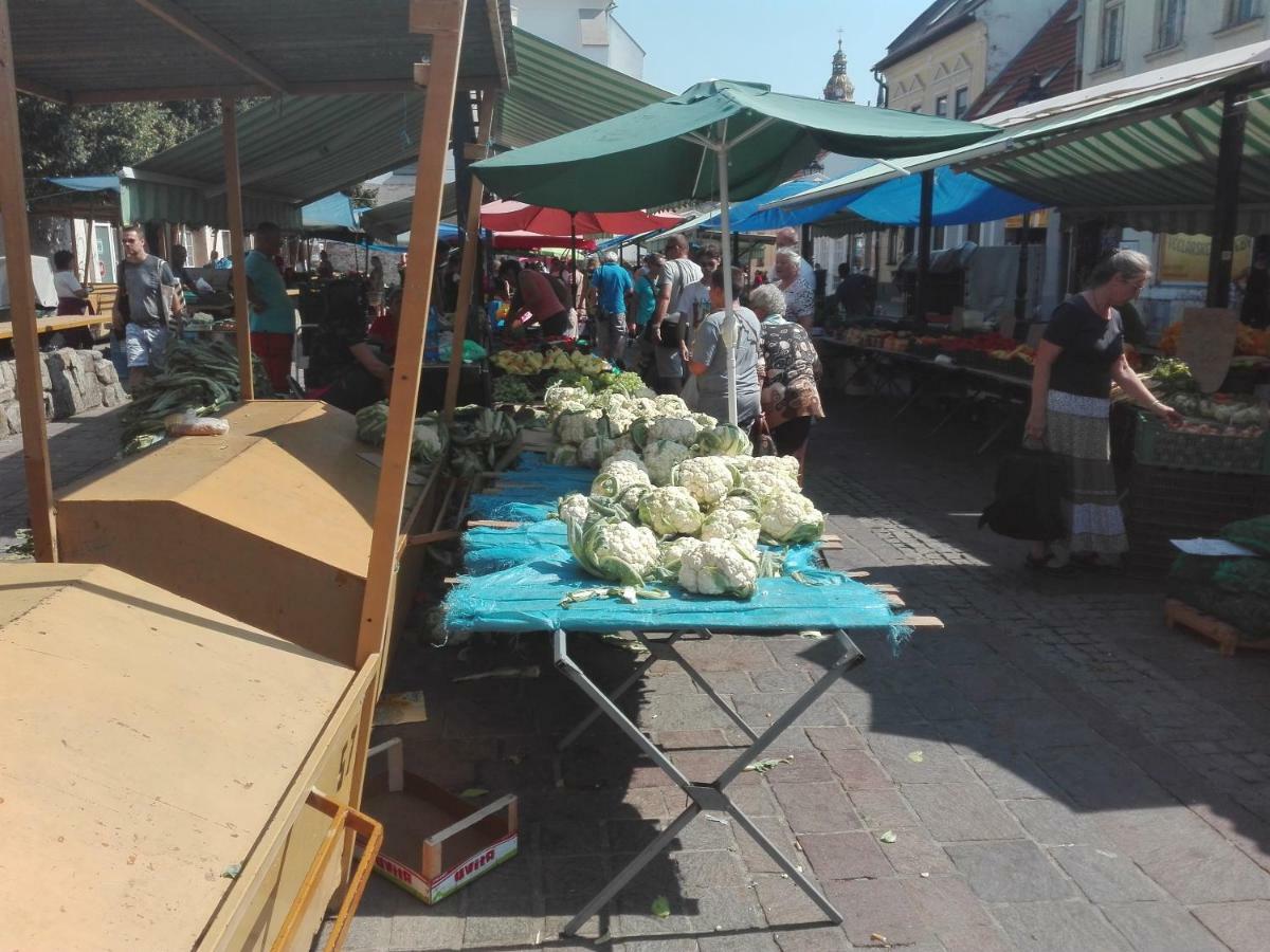 Centrum Apartman Kukucinova6 Košice Esterno foto